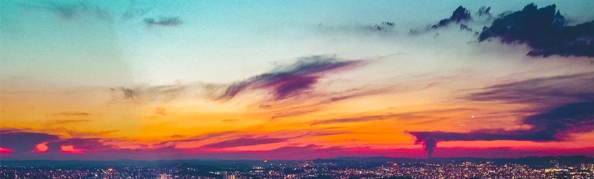 崇左茶虫网_崇左品茶